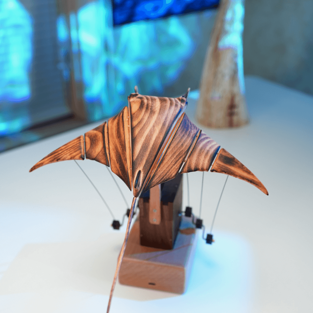 Wooden Automata Collection | Handmade Kinetic Sculptures by MARINER POET