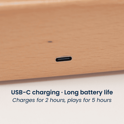 MarinerPoet™ Handcrafted Wooden Jellyfish Automaton(Big)