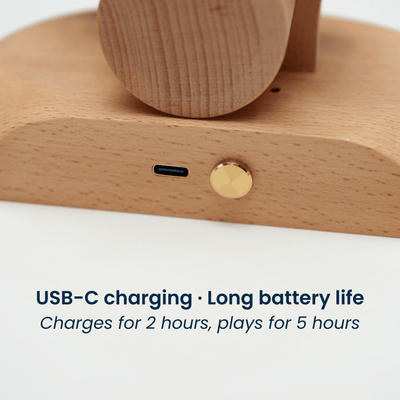 MarinerPoet™ Handcrafted Wooden Dolphin Automaton