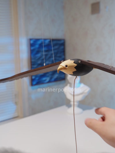 MarinerPoet Pull Motion Eagle